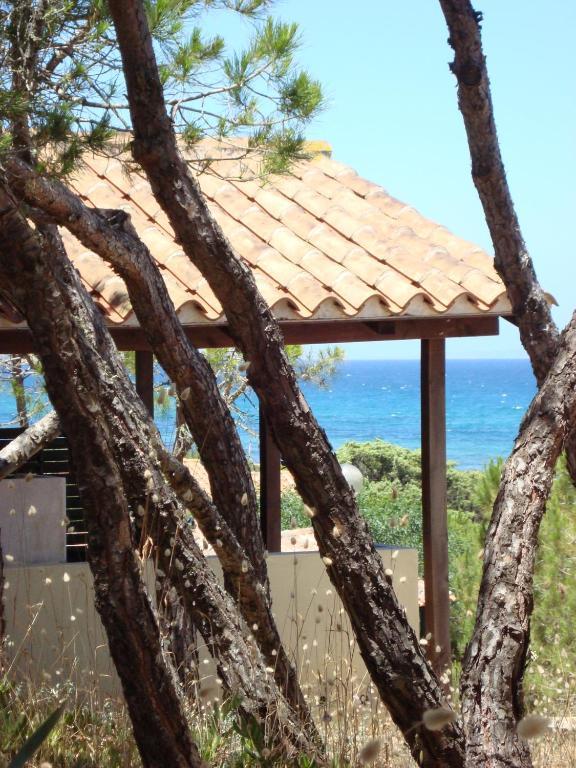 Camping Golfo Dell'Asinara Платамона Стая снимка